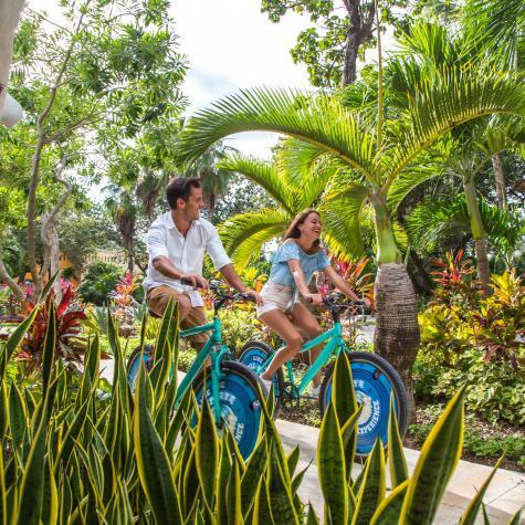 Bike Rental Sandos Playacar