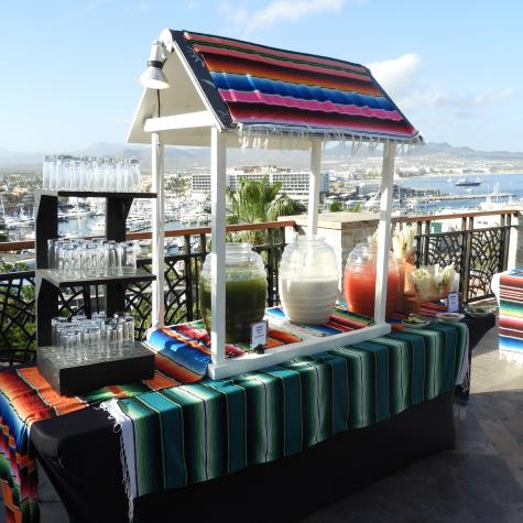 Mexican Kermes Finisterra 