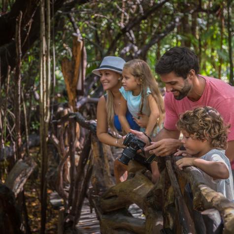 foto safari
