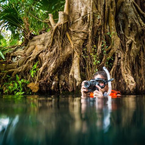 All Nature Experience