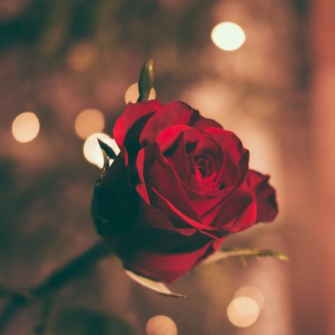 Celebration Romantic Pack