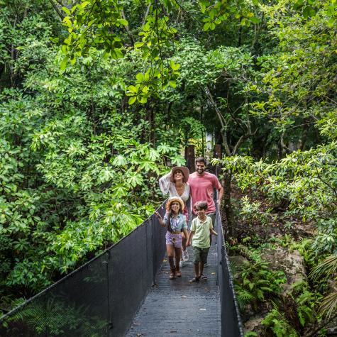 Sandos Caracol: discover the best of the jungle with amazing eco activities