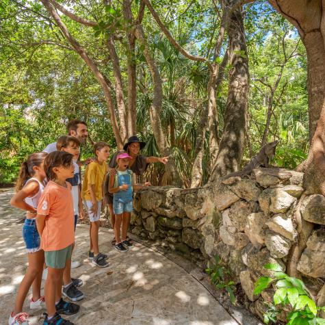 fotosafari_Sandos caracol