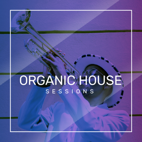 rhythm experience sandos cancun