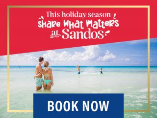 sandos holiday sale