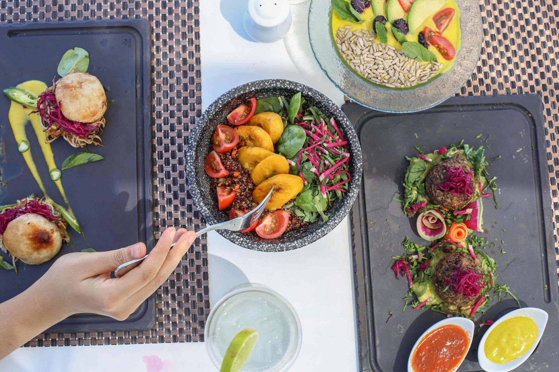 Vegetarian food at Sandos El Greco