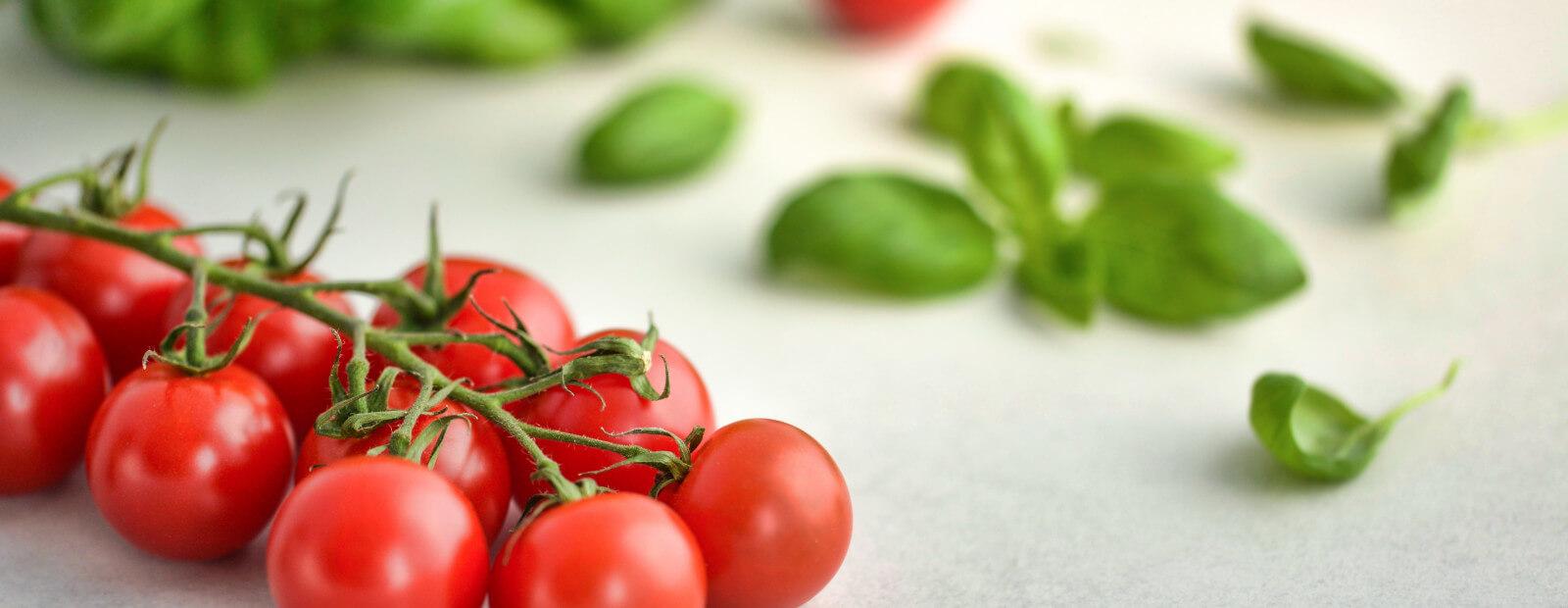 Wellness & Health Package