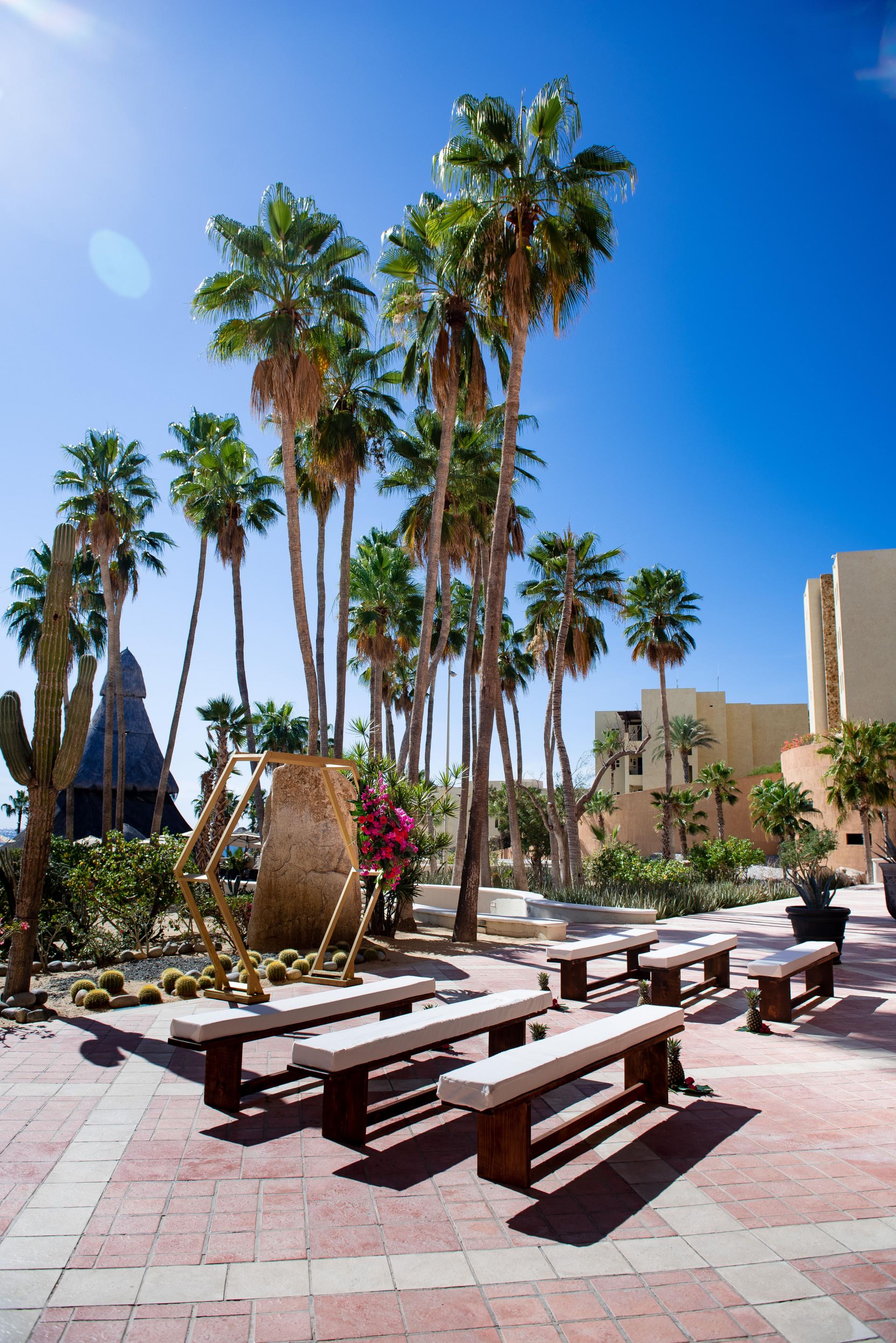 Desert Garden finisterra 2