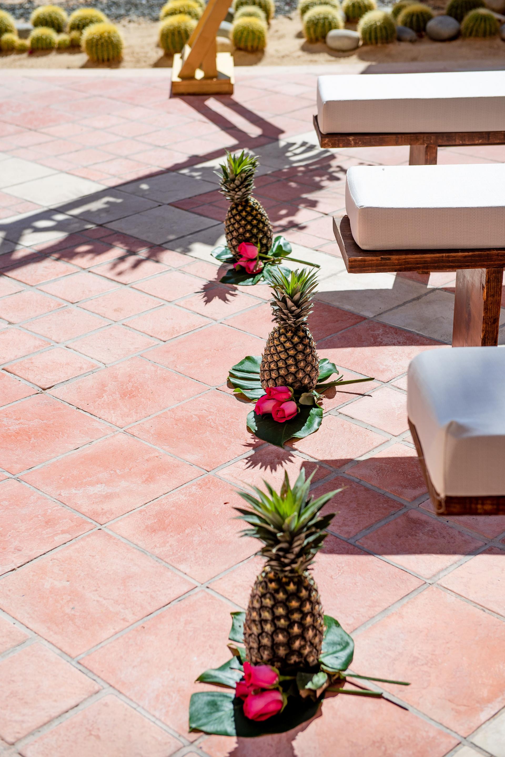 Desert Garden finisterra 3 