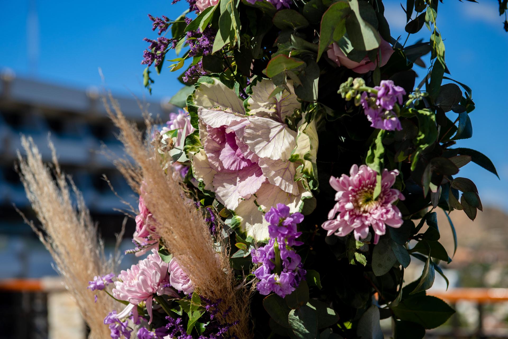 special deals Finisterra 