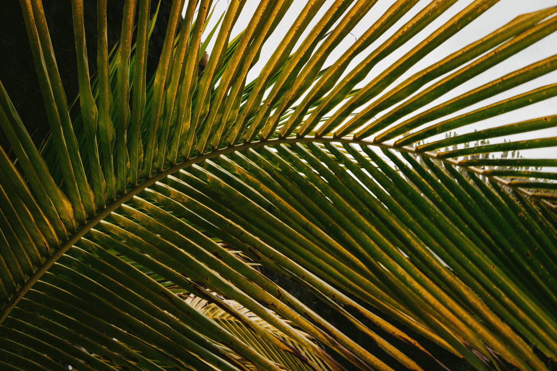 DESTINATION ATLANTIC