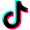 TikTok_30x30