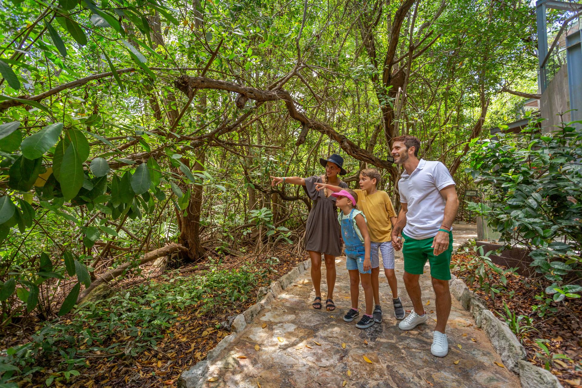 sandos caracol_jungle